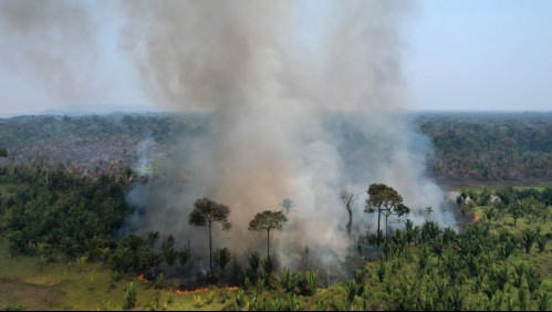 Los peores incendios de agosto en 12 años: El trágico registro de la Amazonia brasileña este 2022