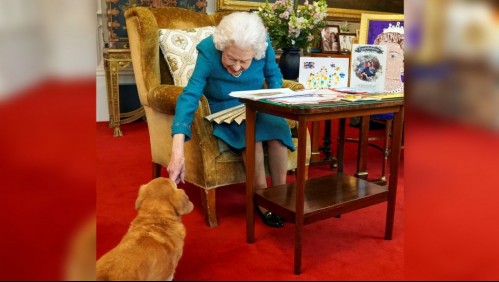 'Son mi familia': ¿Qué pasará con los perros de raza corgi de la reina Isabel II tras su fallecimiento?