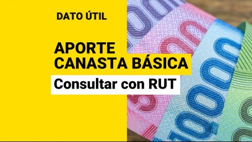 Aporte Canasta Básica: ¿Dónde consultar con RUT si soy beneficiario?