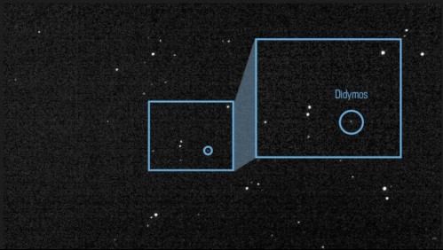 A pocos días del impacto: NASA tiene en la mira el asteroide contra el que chocará la nave espacial DART