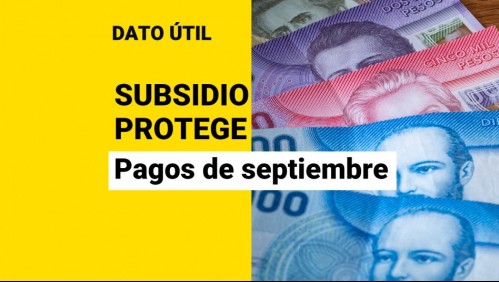 Inician pagos del Subsidio Protege: Conoce quiénes reciben los $200.000 en septiembre