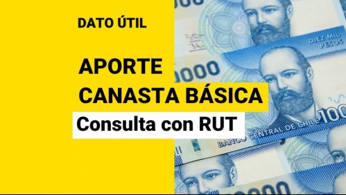 Aporte Canasta Básica: ¿Dónde puedo revisar con RUT si soy beneficiario?