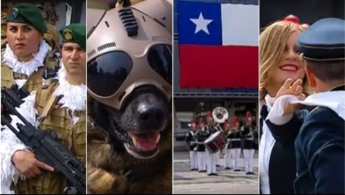 Desfile, perros adiestrados, escuadrones especiales y cueca: En Mega adelantamos lo que será la Parada Militar