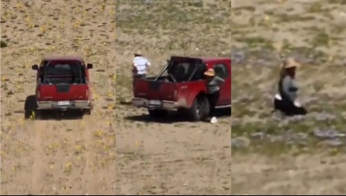 'Admito mi error': Habla conductor que cruzó el desierto florido y bajó a sacarse una foto