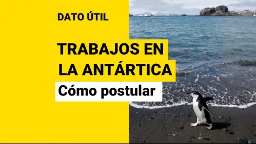 Sueldos de casi $2 millones por trabajar en la Antártica: ¿Cómo puedo postular?