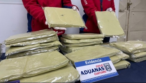 Se le conoce como 'kratom' o mitraginina: Estos son los efectos de la nueva droga incautada por Aduanas