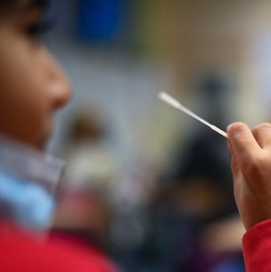 Científicos descubren la causa tras el PIMS, la complicación post Covid que pone en riesgo a los niños Científicos descubren la causa tras el PIMS, la complicación post Covid que pone en riesgo a los niños