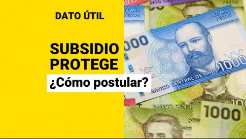 Última semana para postular al Subsidio Protege: ¿Cómo solicitar el pago de $200 mil?