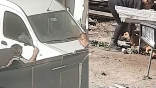 Detienen a pareja acusada de golpear brutalmente a su perro: Animal tiene múltiples lesiones