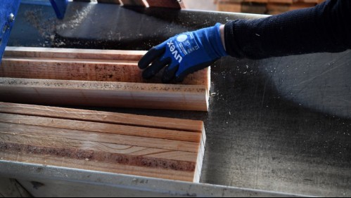 Trágica muerte de trabajador de aserradero en Collipulli: tronco lo hizo caer a máquina