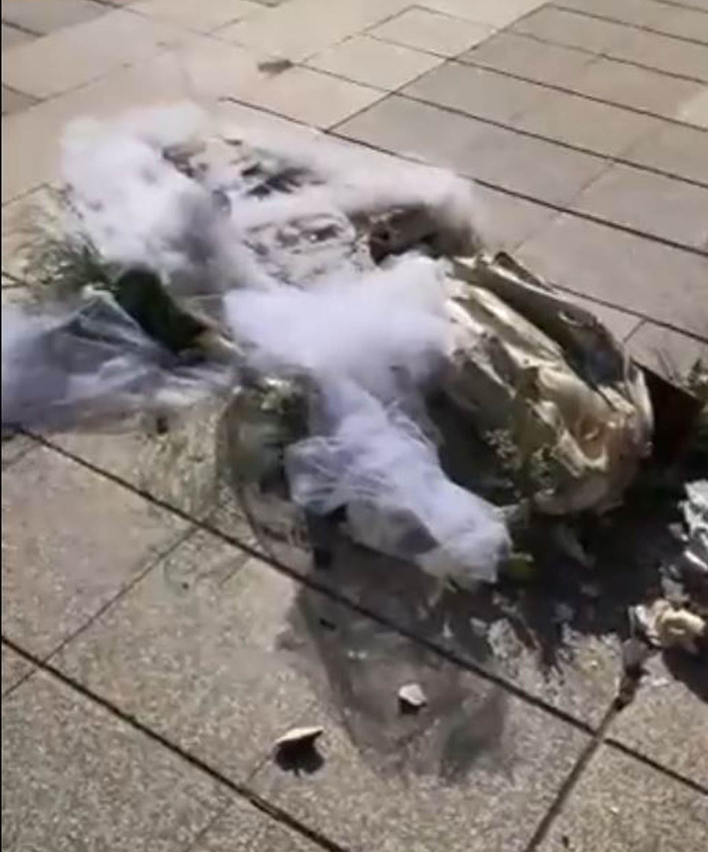 La escultura quedó totalmente destrozada. Captura de video.