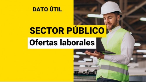 ¿Quieres trabajar en el sector público? Revisa las ofertas laborales disponibles en el Estado