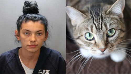 Mujer atropella y mata a un hombre que maltrataba a un gato: Arriesga cadena perpetua