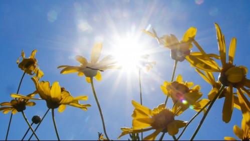 Pronóstico del tiempo para este fin de semana: Conoce cómo estarán los días en Santiago
