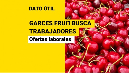 Trabajos en frutícola: ¿Qué vacantes están disponibles y cómo postular?