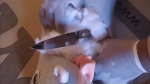 'Maté a mi madre porque me controlaba': Adolescente ordenó el crimen y su novio lo ejecutó