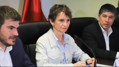 Ministra Carolina Tohá tras viaje a La Araucanía: 'Se requiere una solución de Estado'