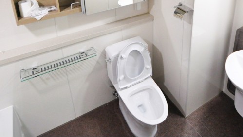 Fue a una discoteca, se emborrachó y se robó los inodoros del baño del local