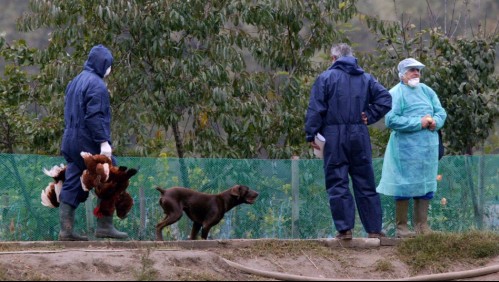 Detectaron un caso de gripe aviar en un trabajador español: Lo calificaron de 'muy leve'