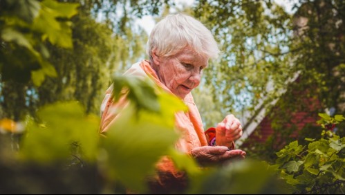 Atendía abuelas fingiendo ser médico y las asesinaba con una almohada: Enfrenta dos cadenas perpetuas