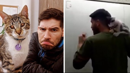 'Es importante el respeto a los animales': Profesor se hace viral al dar clases con un gato en el hombro