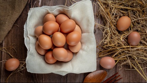 ¿Cómo saber si un huevo está malo? Estas son tres técnicas para revisarlos