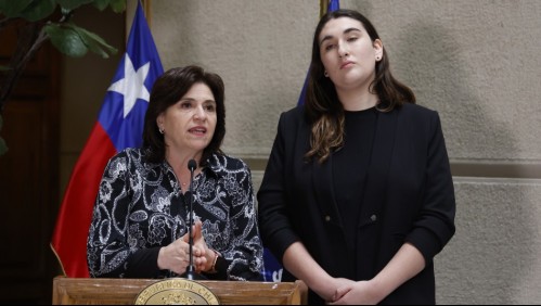 Por dichos de De la Carrera: Gobierno dará urgencia a reforma que busca destituir a parlamentarios que agredan