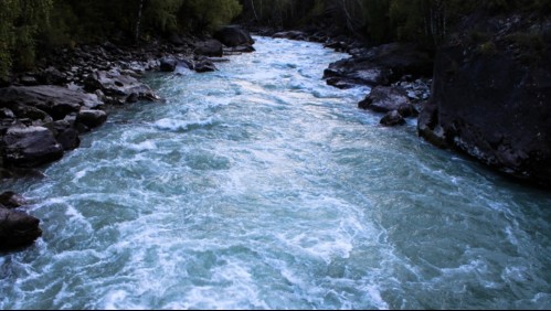 Descubren nuevo modus operandi de traficantes en Arica: Ocultaban droga en ladera de un río y hacían 'delivery' a pedido