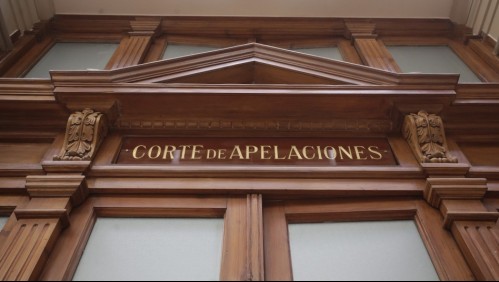 Corte de Apelaciones declara inadmisible recurso de protección presentado contra el TPP11