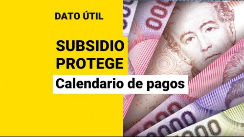 Subsidio Protege: Revisa el calendario de pagos del beneficio