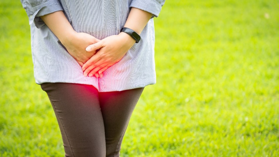 5 señales que indican que puedes tener ladillas - Meganoticias