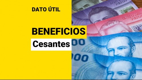 ¿Estás cesante? Revisa los beneficios que puedes recibir