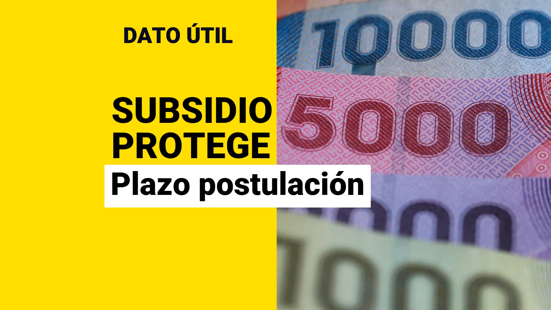 Subsidio Protege: ¿Hasta Cuándo Hay Plazo Para Postular? - Meganoticias