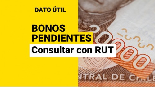 Bonos pendientes: Así puedes saber con tu RUT si tienes pagos por cobrar