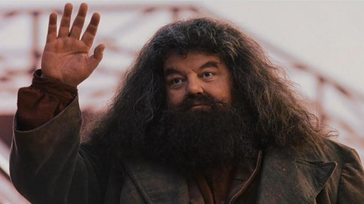 Robbie Coltrane como Rubeus Hagrid