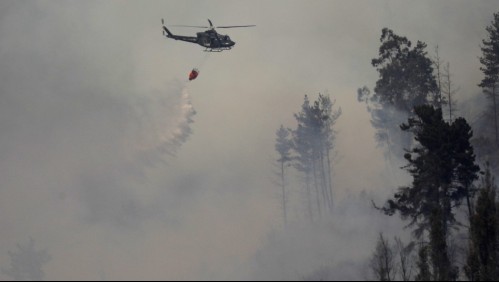 Onemi decreta alerta amarilla por incendio forestal en Coronel: Se desató cerca de sectores habitados