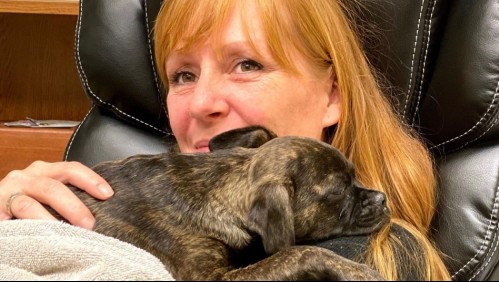 'Ella era amable y compasiva': Joven apuñaló y mató a su propia madre por intentar echarlo de la casa