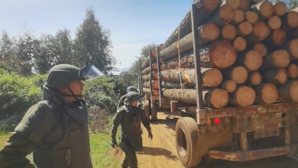 Carabineros Detiene A Dos Personas Por Robo De Madera De Forestal