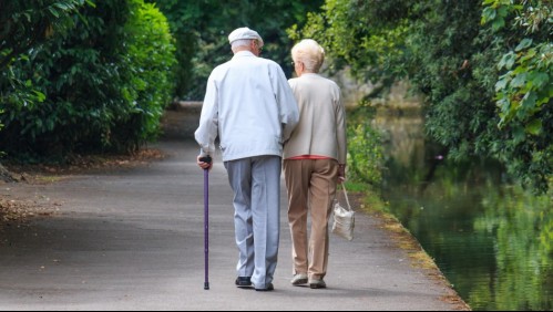 Reforma de pensiones: ¿Cuáles son las dos opciones de renta vitalicia que contempla?