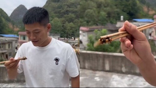 Influencer se graba comiendo una avispa viva y termina con su rostro completamente desfigurado