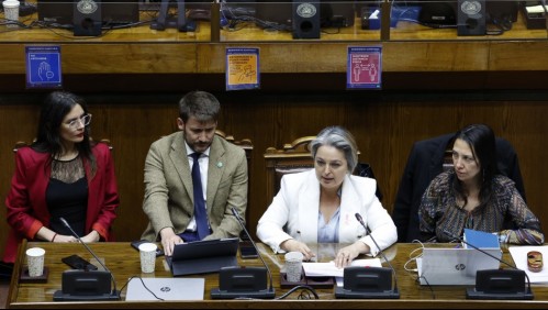 'Una herramienta de seguridad social': Senado aprueba extender el posnatal de emergencia