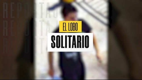 Los ataques del 'lobo solitario'