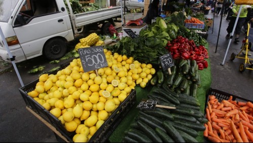 Canasta Básica de Alimentos: ¿Qué productos bajarían su valor si se aprueba el proyecto de exención de IVA?