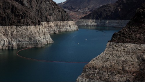 Menor de edad muere tras bañarse en un lago e infectarse con una rara ameba 'comecerebros'