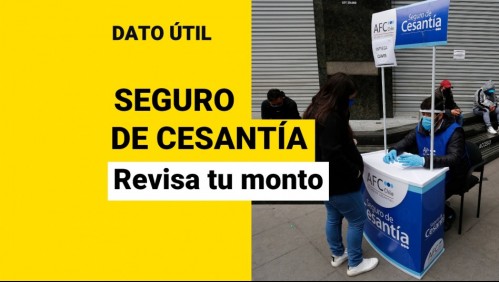 Seguro de Cesantía: Revisa con tu RUT cuánto dinero tienes acumulado