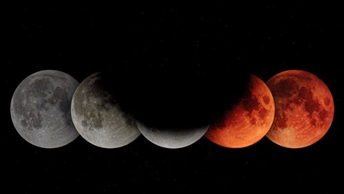 Eclipse lunar en noviembre: ¿Cuándo y a qué hora se podrá ver el espectáculo astronómico en Chile?