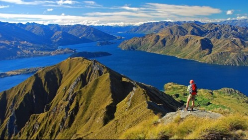 Nueva Zelanda ofrece trabajo con sueldo de $50 millones y nadie quiere postular: Conoce cómo acceder a la vacante