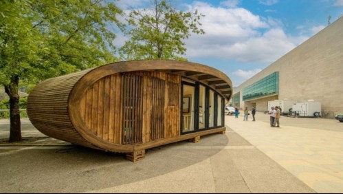 Arquitecto chileno diseñó una casa con forma de hoja de 21 metros cuadrados: Se arrienda en casi $1 millón