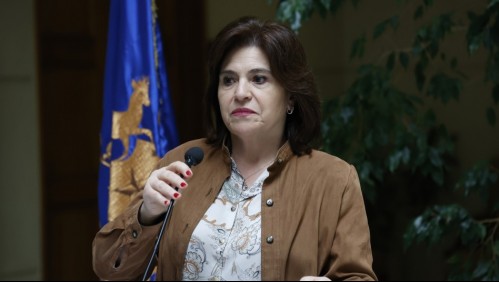 'Es irrespetuoso con el Gobierno': Ministra Ana Lya Uriarte critica proyecto UDI que respalda a Sergio Micco