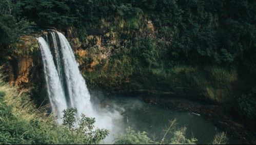 Familia de chilena fallecida en Hawái pide ayuda para viajar a Estados Unidos: 'Se estiman gastos millonarios'